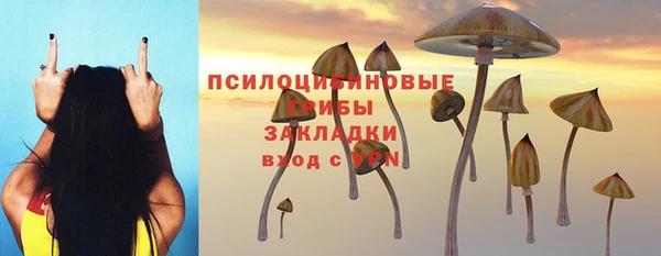 дмт Беломорск