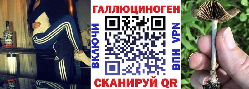 магазин продажи   darknet формула  Галлюциногенные грибы прущие грибы  Улан-Удэ 